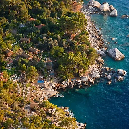 Perdue Фаралия