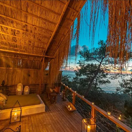 Отель Perdue Фаралия