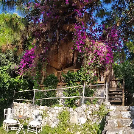 Perdue Отель 4*