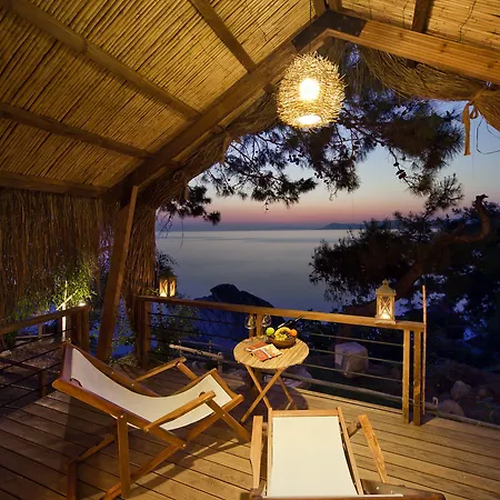 Perdue 4* Фаралия