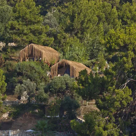 Perdue 4* Фаралия