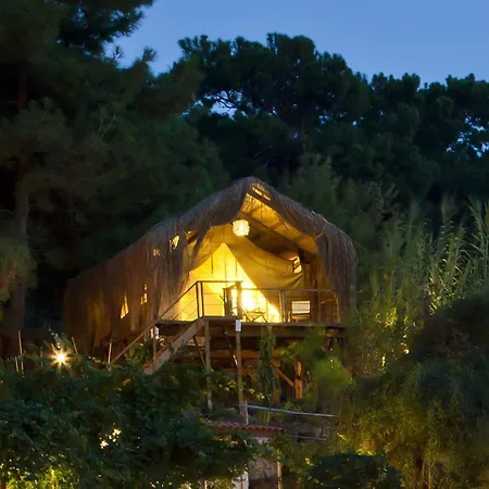 Perdue 4* Фаралия