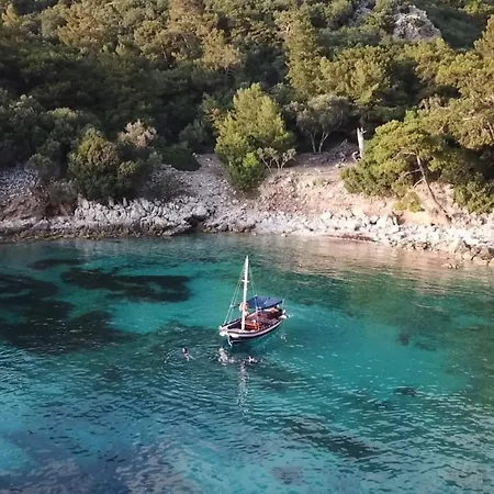 Отель Perdue Фаралия