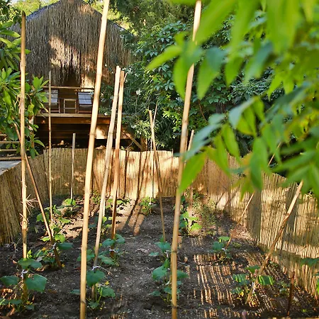 Отель Perdue Фаралия