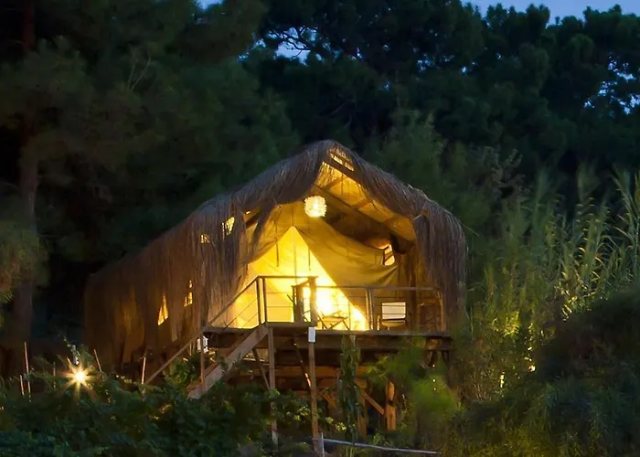 Perdue 4* فاراليا