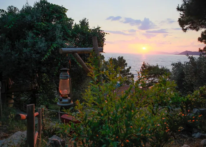 Perdue فاراليا