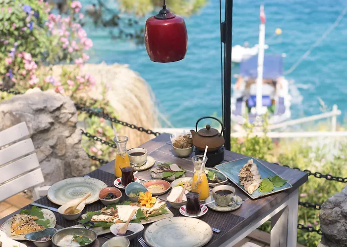 Perdue فندق فاراليا