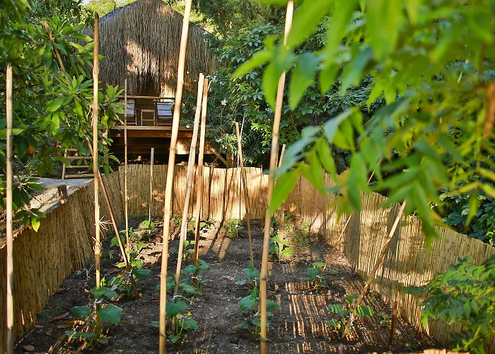 Hotel Perdue Faralya