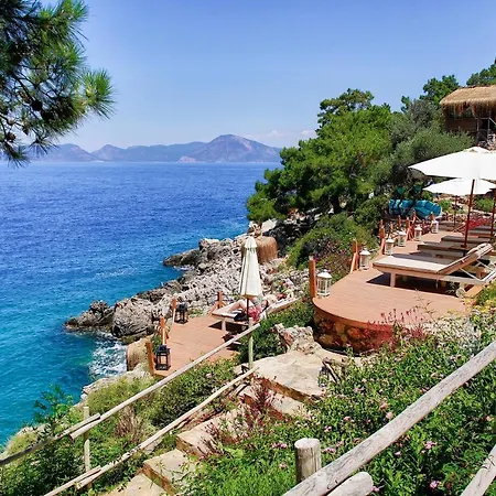 Perdue 4* فاراليا