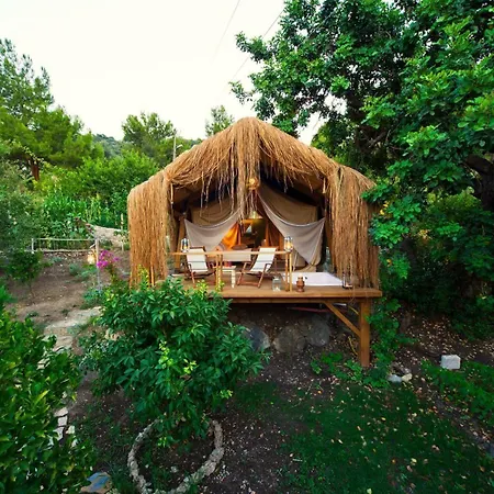 Perdue فاراليا